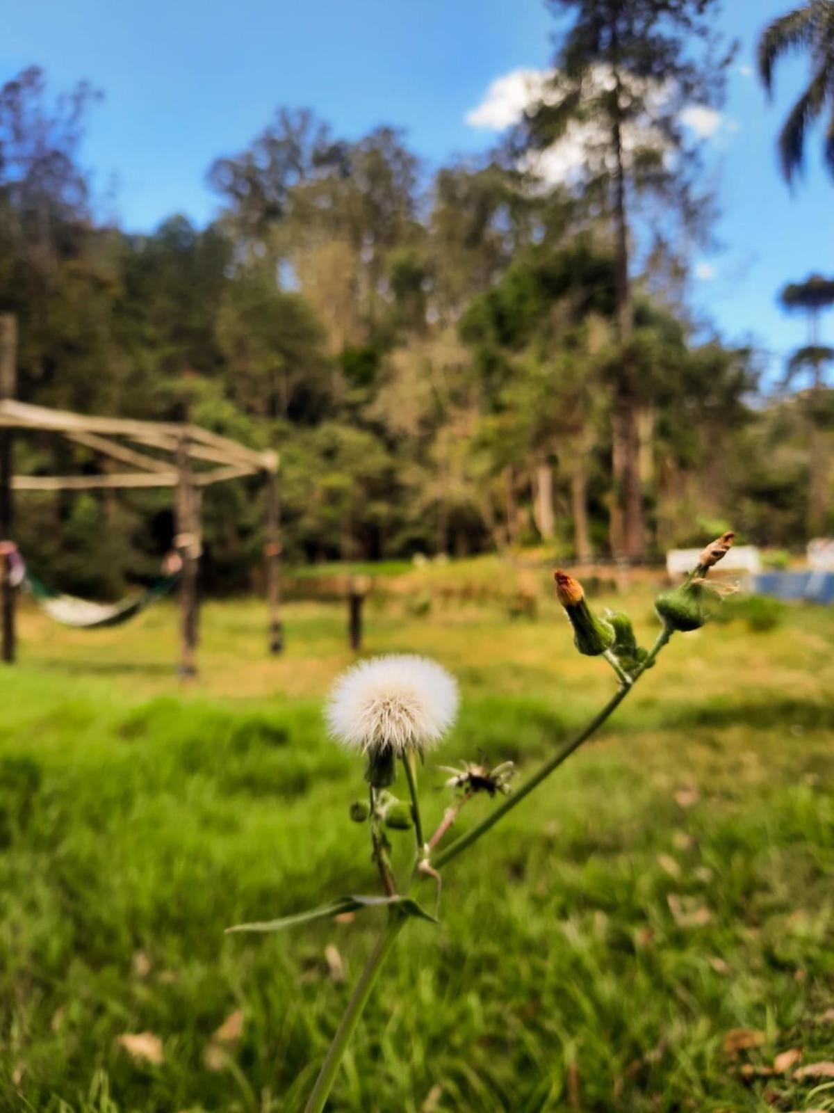 Pousada Pedra Grande Atibaia Esterno foto